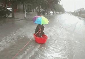 新时代河北，机遇与挑战并存的发展之路