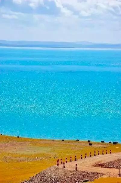 青海角落，时光的味道，隐藏小巷的特色小店探秘