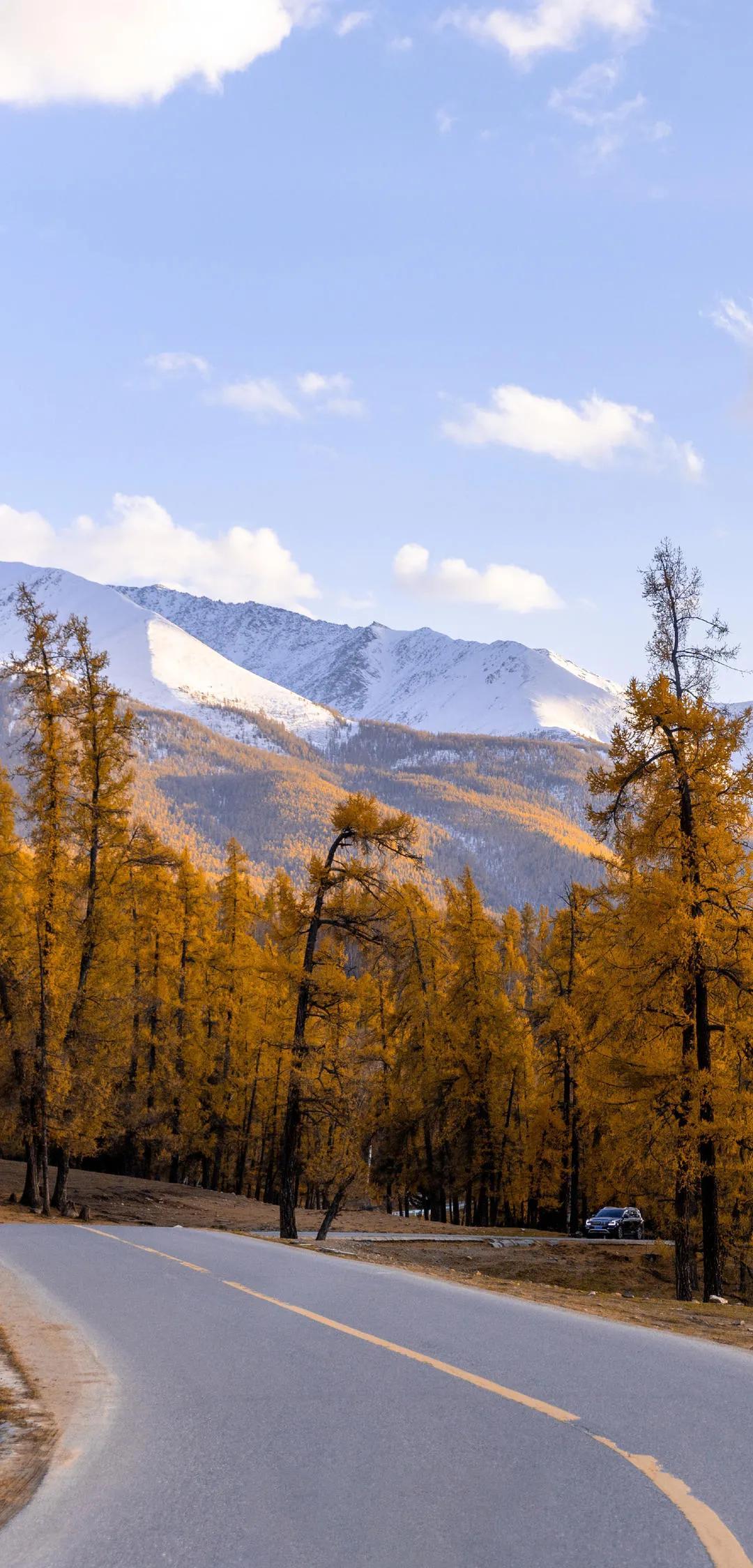 新疆，心驰神往的绝美风光🌄🌸